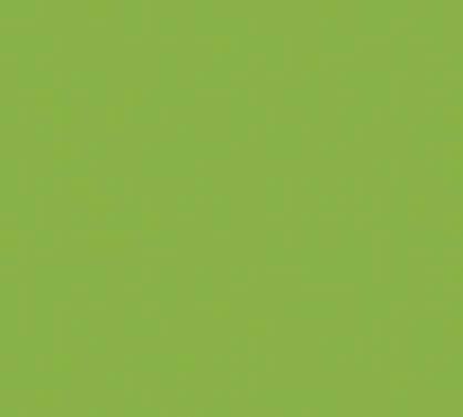 نئوپان ملامینه بست وود (Best Wood) F 1107 Green (سبز) براق ۱۸۳*۳۶۶ 