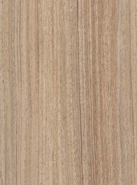 نئوپان ملامینه بست وود (Best Wood) F 3305 Dabema (دابما) براق ۱۸۳*۳۶۶ 