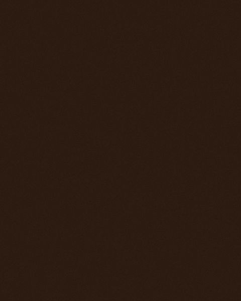 نئوپان ملامینه بست وود (Best Wood) F 1113 Brown (قهوه ای) براق ۱۸۳*۳۶۶ 