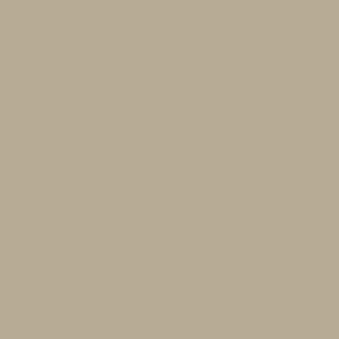 هایگلاس پانوتک 210 PET MATT BEIGE A.F مات ۱۲۲*۲۸۰ 